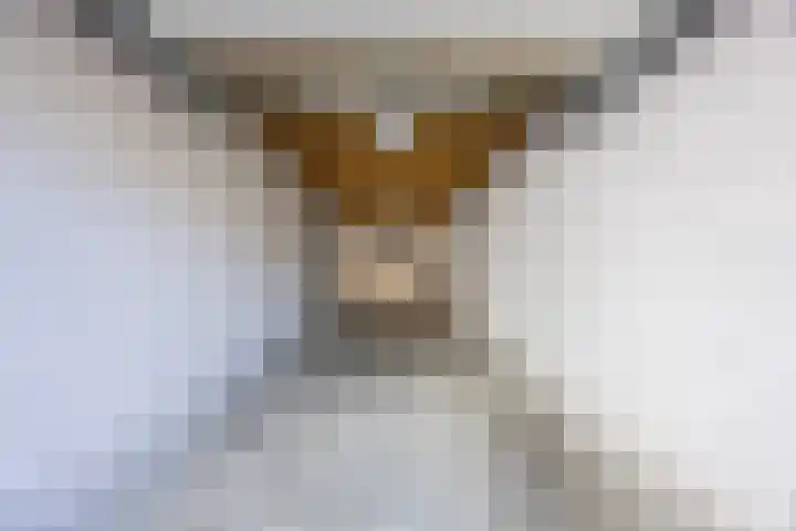Vloetrand 12 Volkel thumbnail 34