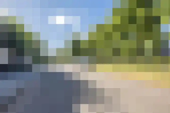 Vloetrand 12 Volkel thumbnail 39