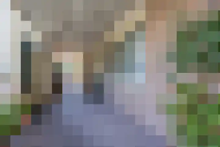 Vloetrand 12 Volkel thumbnail 7