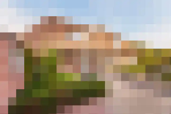 Vloetstraat 3 Volkel thumbnail 26