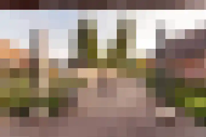 Vloetstraat 3 Volkel thumbnail 27
