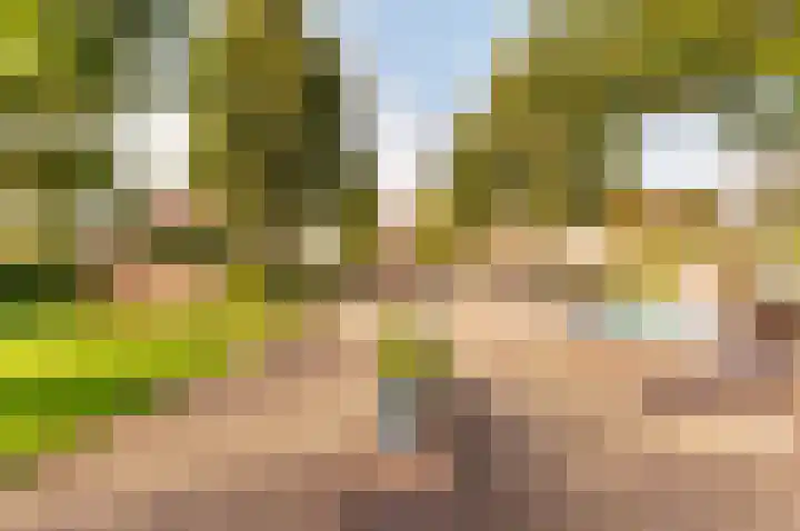 Vloetstraat 3 Volkel thumbnail 30