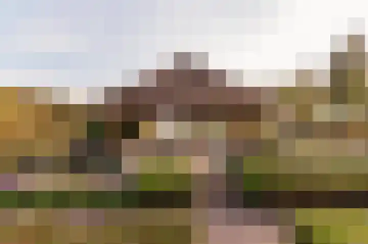 Vloetstraat 3 Volkel thumbnail 35