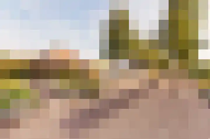 Vloetstraat 3 Volkel thumbnail 37