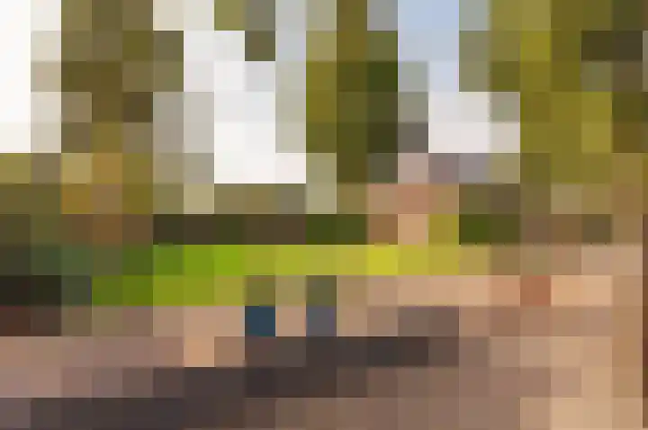 Vloetstraat 3 Volkel thumbnail 38