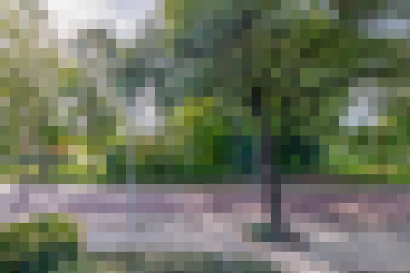 Vlokhovenseweg 15 Eindhoven thumbnail 46