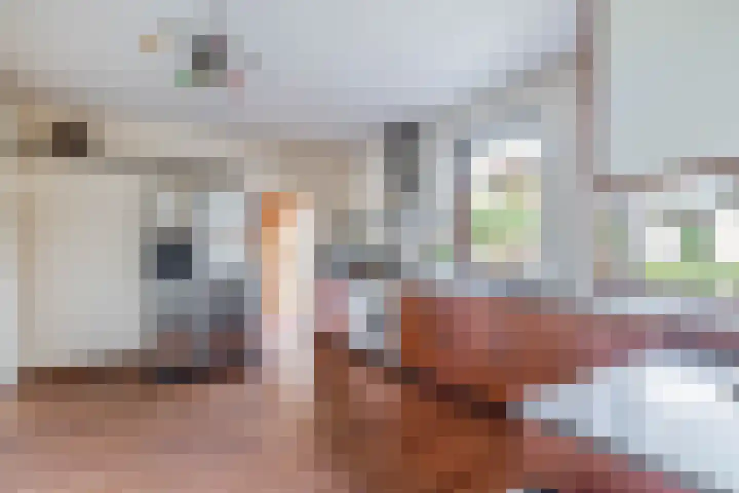 Vlokhovenseweg 15 Eindhoven thumbnail 7