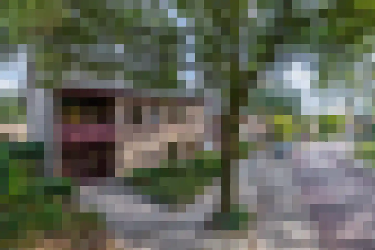 Vlokhovenseweg 15 Eindhoven thumbnail 81