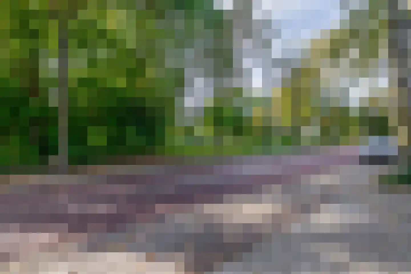 Vlokhovenseweg 15 Eindhoven thumbnail 83