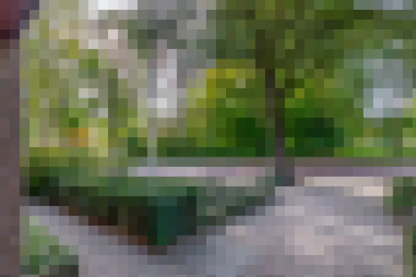 Vlokhovenseweg 15 Eindhoven thumbnail 86