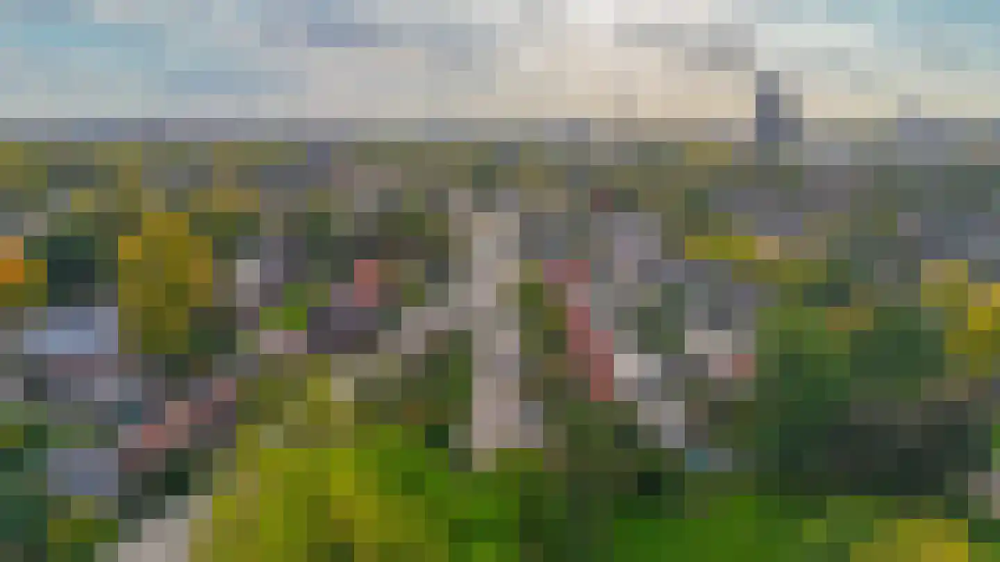 Vlokhovenseweg 15 Eindhoven thumbnail 89
