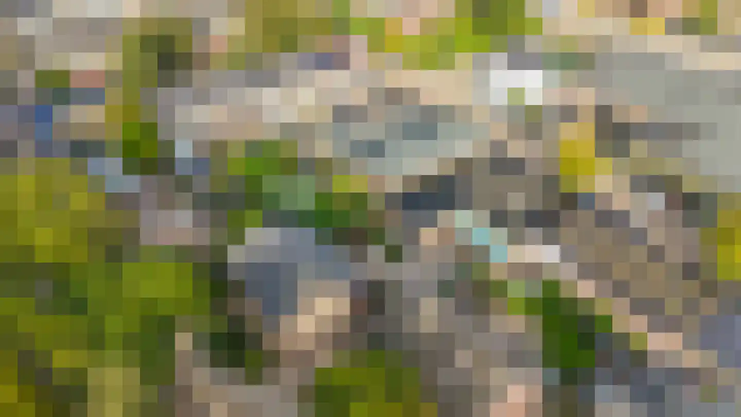 Vlokhovenseweg 15 Eindhoven thumbnail 97