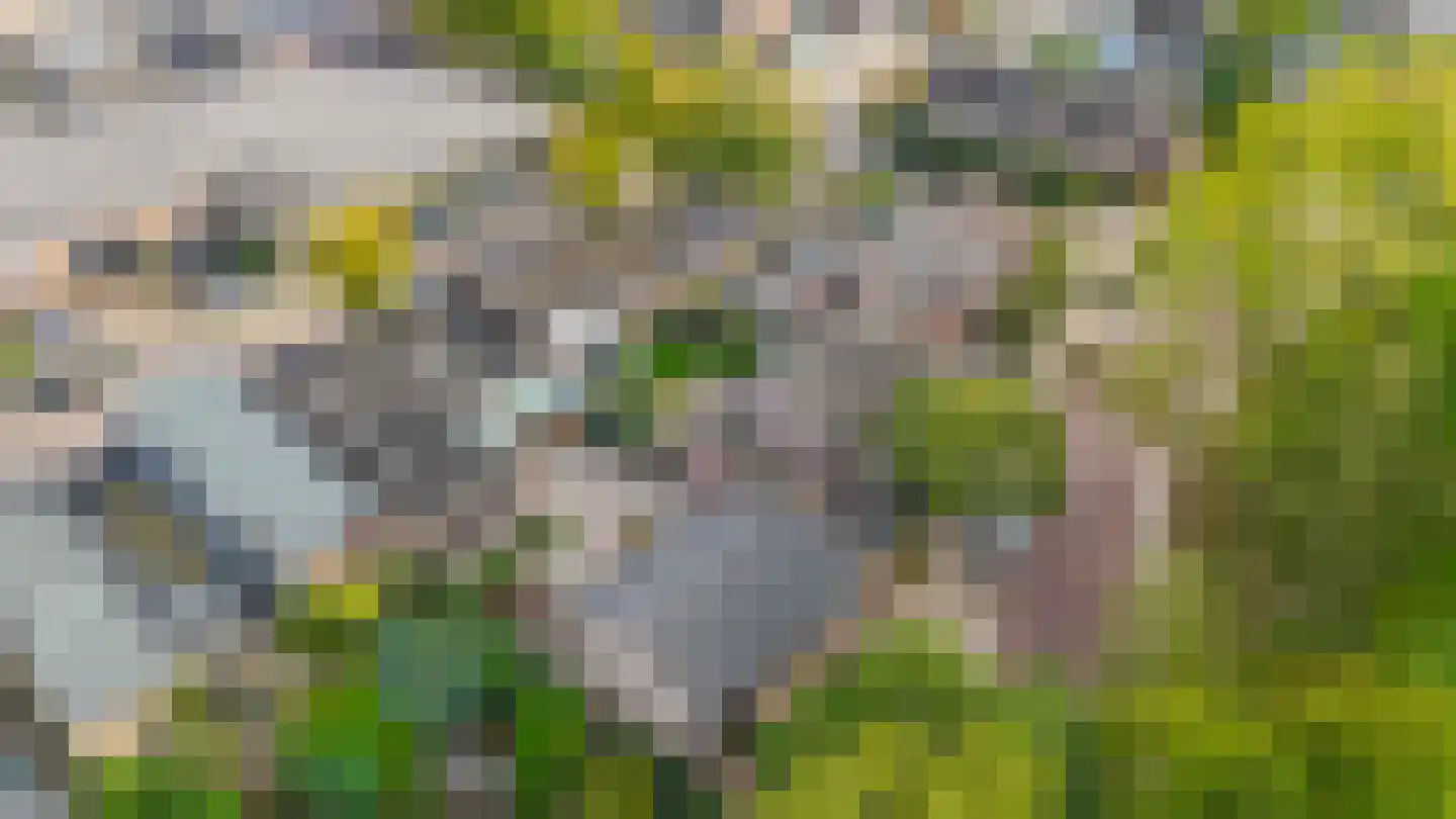 Vlokhovenseweg 15 Eindhoven thumbnail 98