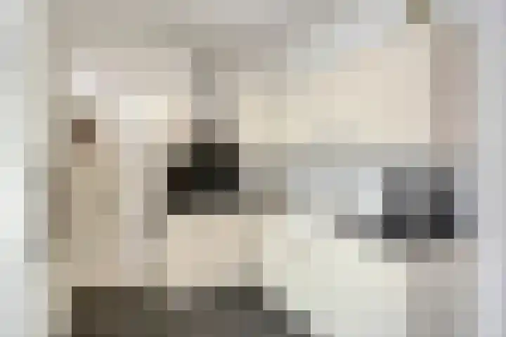 Vlokhovenseweg 39 Eindhoven thumbnail 4