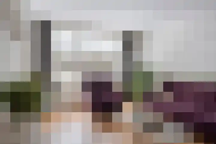 Vlokhovenseweg 39 Eindhoven thumbnail 6