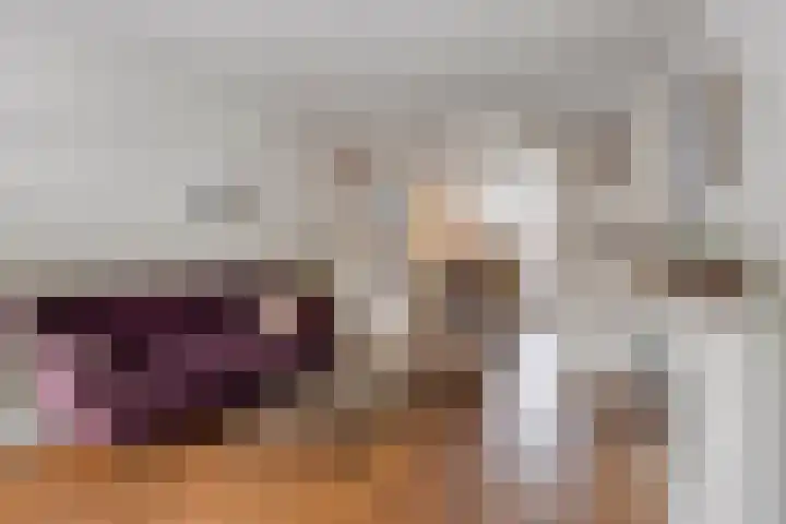 Vlokhovenseweg 39 Eindhoven thumbnail 8