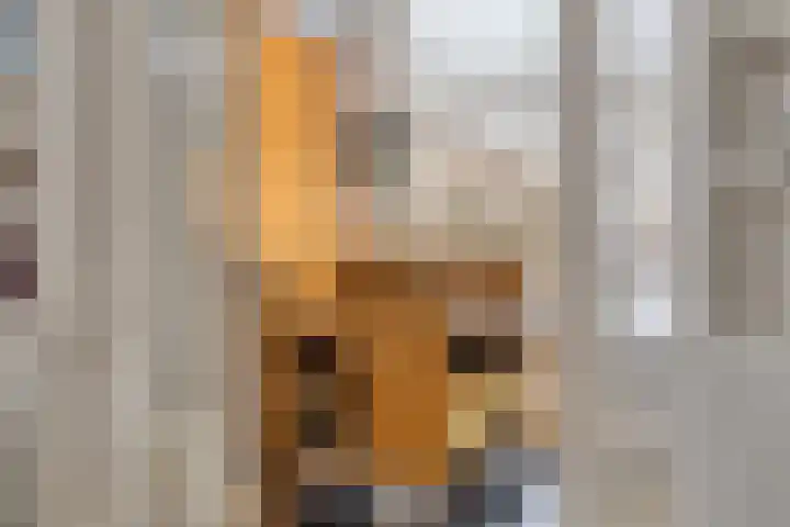 Vlokhovenseweg 39 Eindhoven thumbnail 9