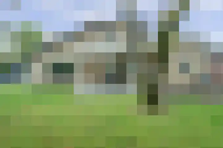 Vlokhovenseweg 44 A Eindhoven thumbnail 38
