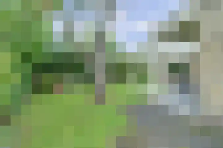 Vlokhovenseweg 44 A Eindhoven thumbnail 39