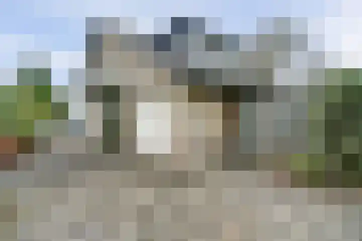 Vlokhovenseweg 44 A Eindhoven thumbnail 4