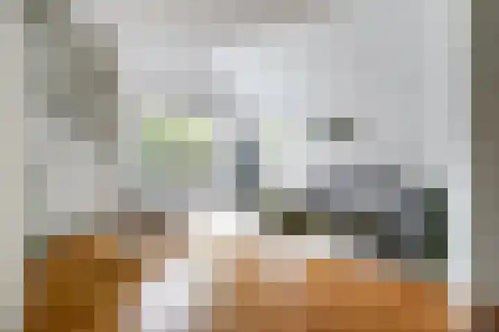 Vlokhovenseweg 44 A Eindhoven thumbnail 5