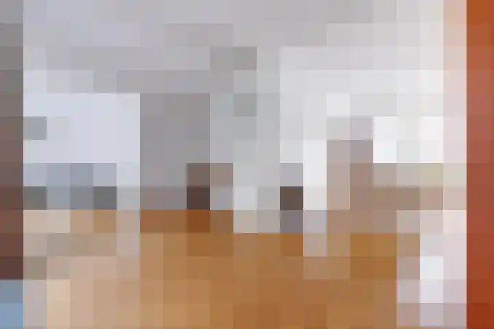 Vlokhovenseweg 44 A Eindhoven thumbnail 7