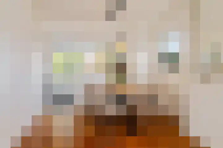 Vlokhovenseweg 62 Eindhoven thumbnail 15