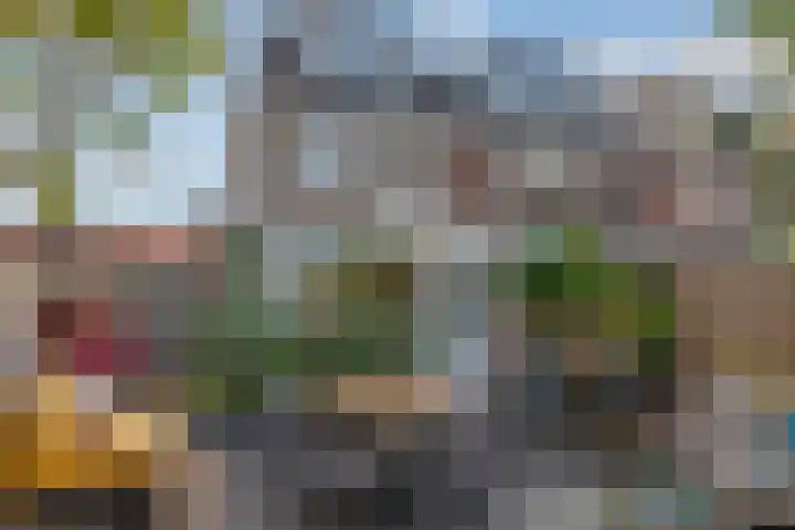 Vlokhovenseweg 62 Eindhoven thumbnail 23