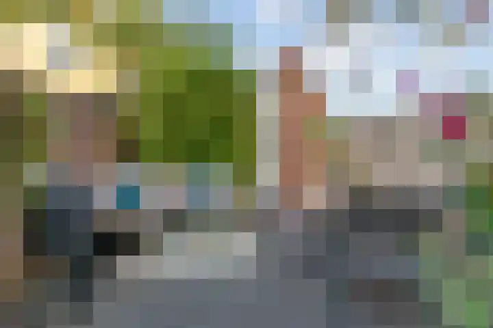 Vlokhovenseweg 62 Eindhoven thumbnail 26