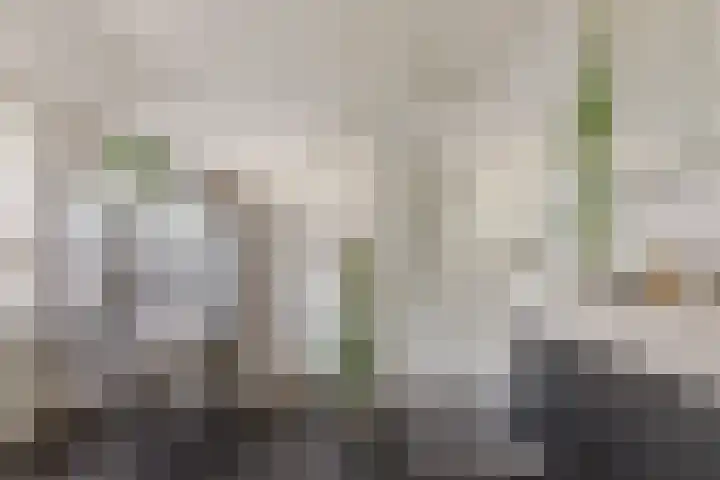 Vlokhovenseweg 62 Eindhoven thumbnail 33