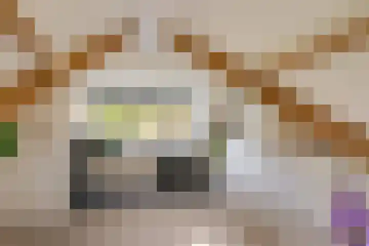 Vlokhovenseweg 62 Eindhoven thumbnail 37