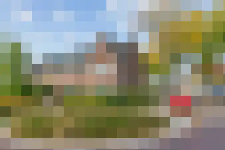 Vlokhovenseweg 62 Eindhoven thumbnail 6