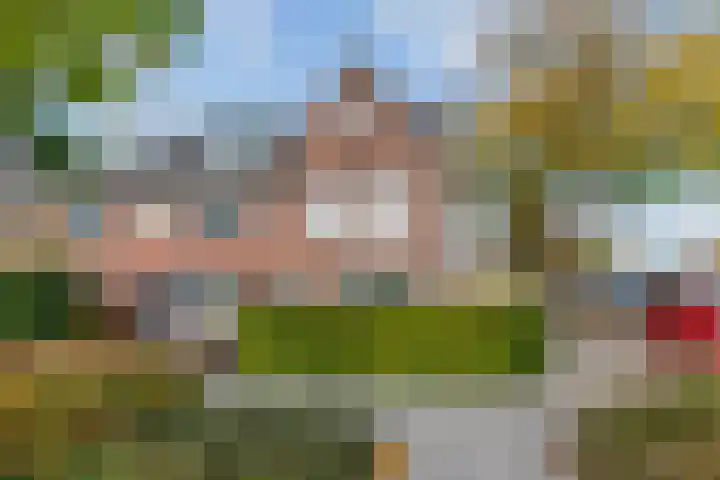 Vlokhovenseweg 62 Eindhoven thumbnail 7