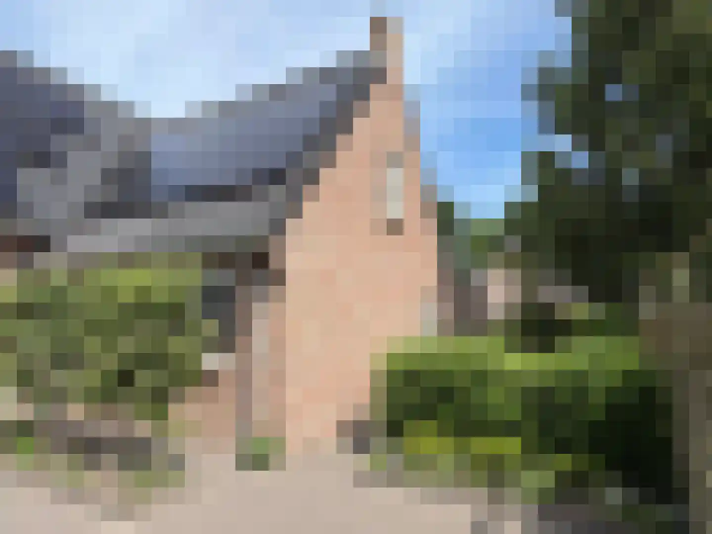 Vlonder 33 Dalerpeel thumbnail 10