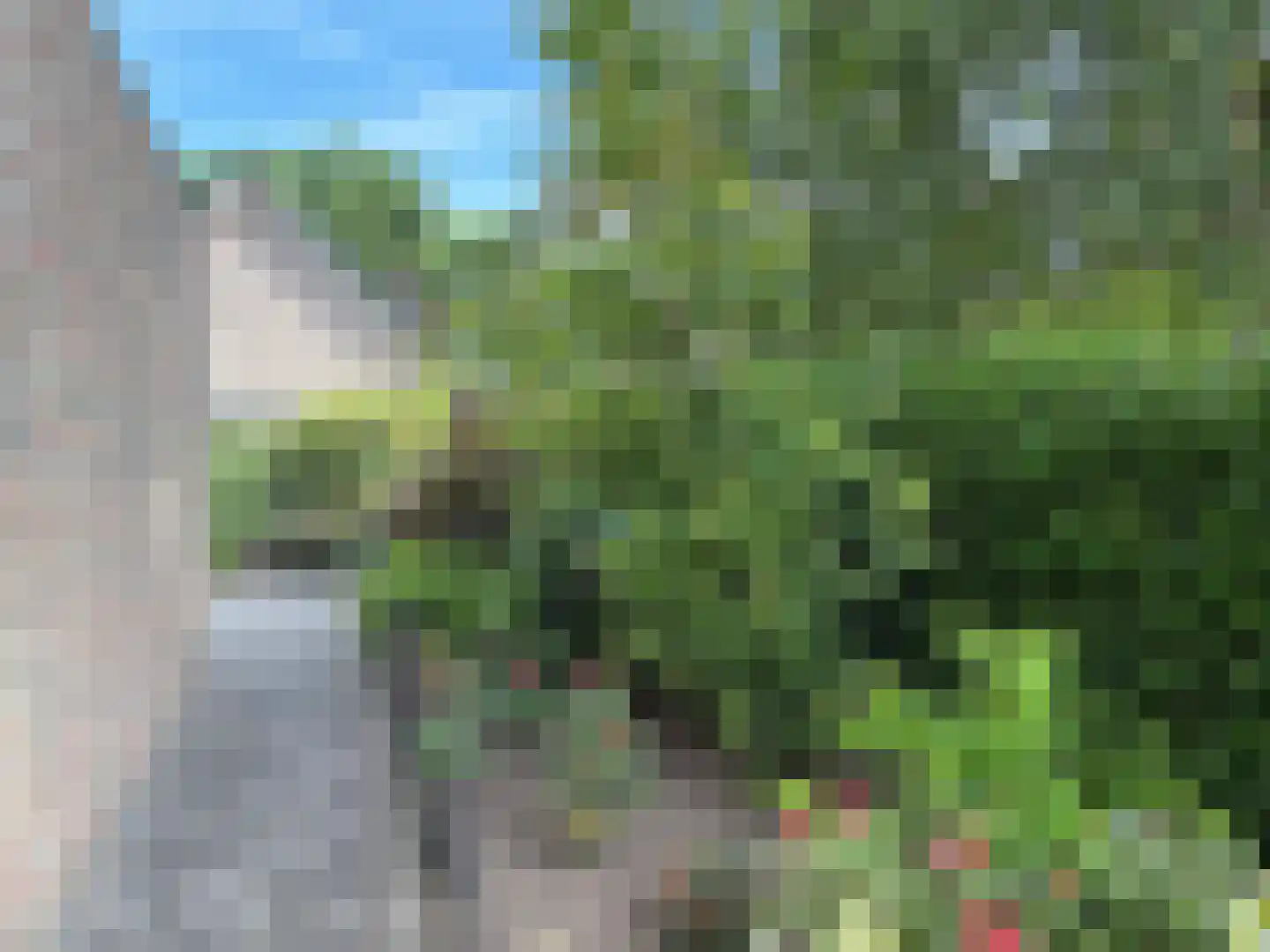 Vlonder 33 Dalerpeel thumbnail 11