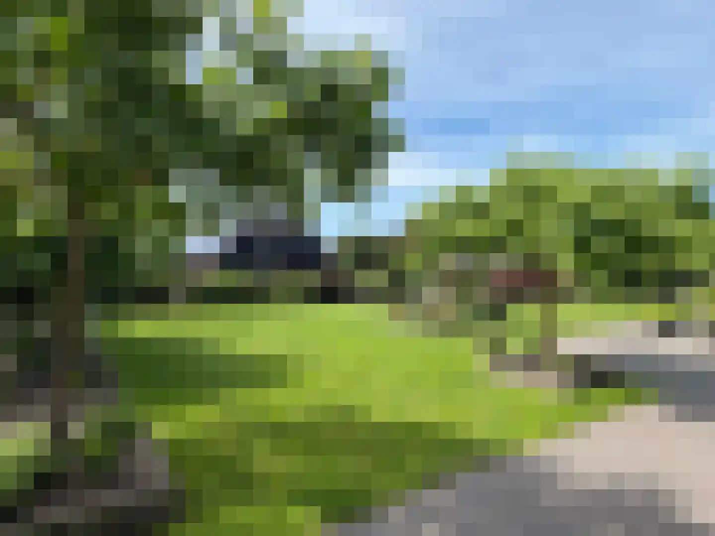 Vlonder 33 Dalerpeel thumbnail 13