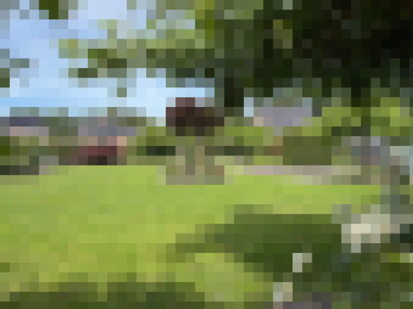 Vlonder 33 Dalerpeel thumbnail 14