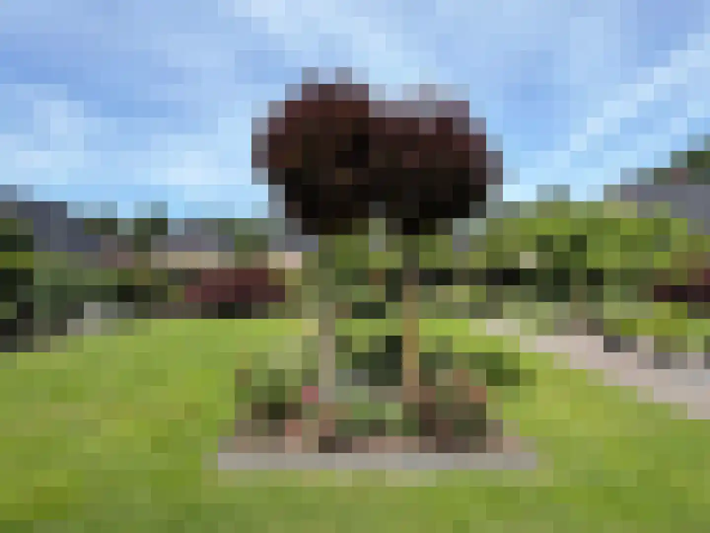 Vlonder 33 Dalerpeel thumbnail 15