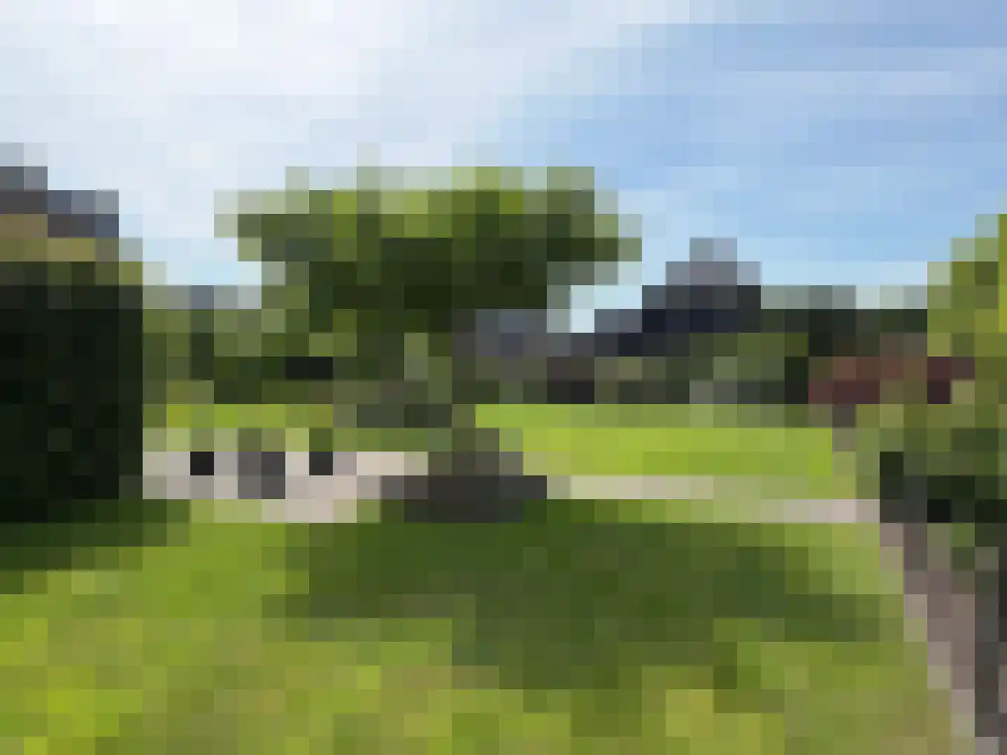 Vlonder 33 Dalerpeel thumbnail 17