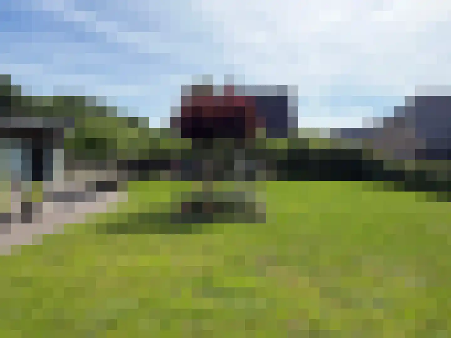 Vlonder 33 Dalerpeel thumbnail 18