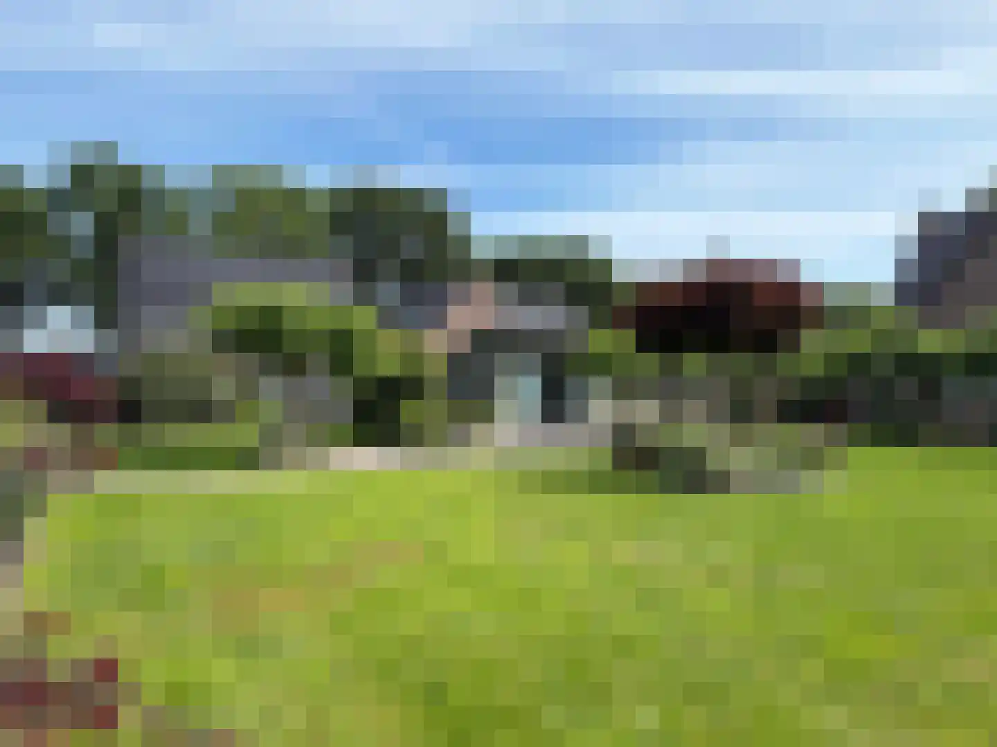 Vlonder 33 Dalerpeel thumbnail 18