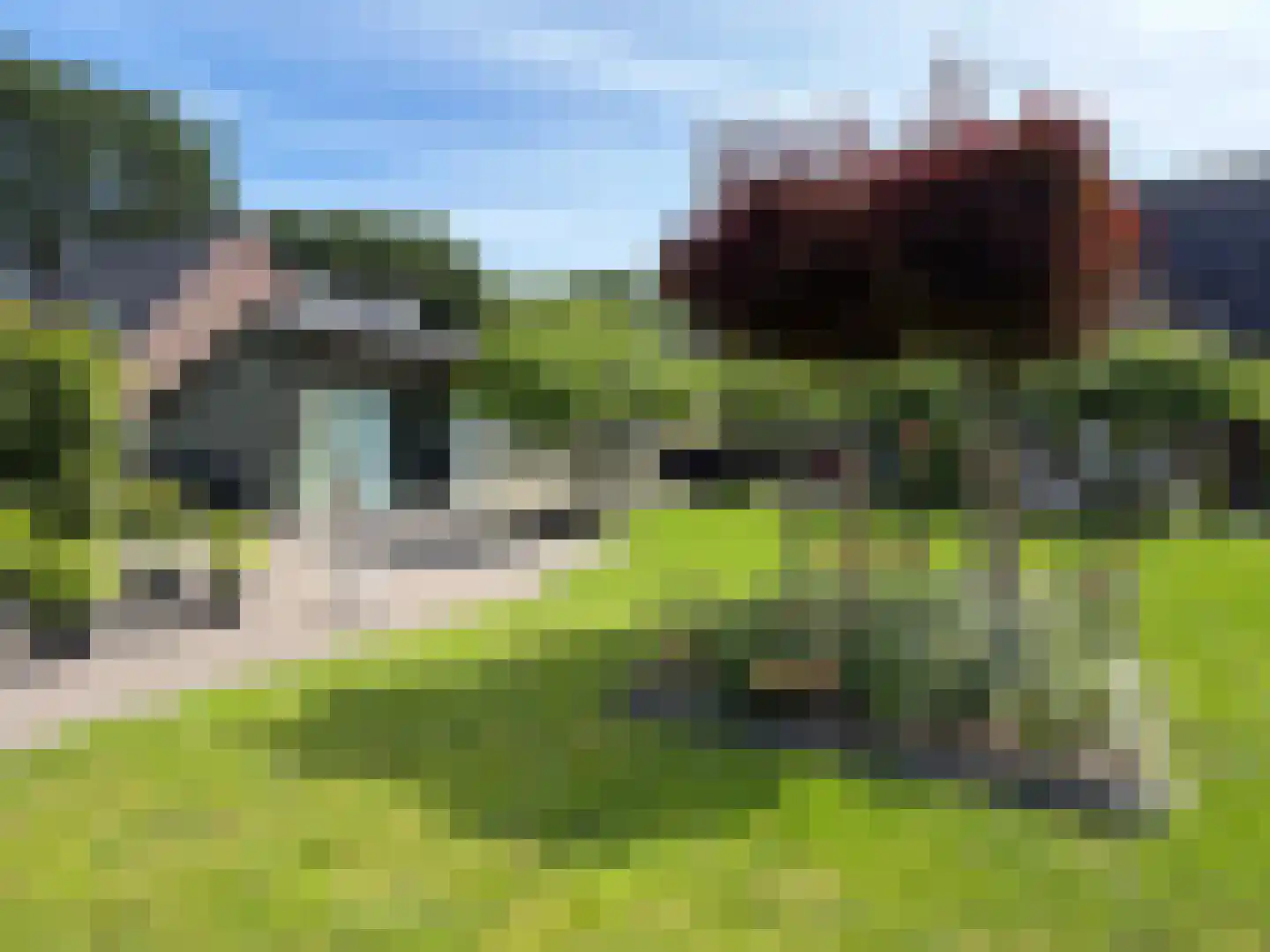 Vlonder 33 Dalerpeel thumbnail 19