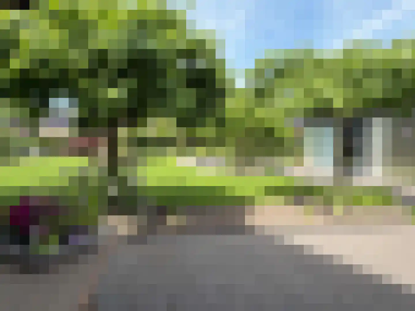 Vlonder 33 Dalerpeel thumbnail 21