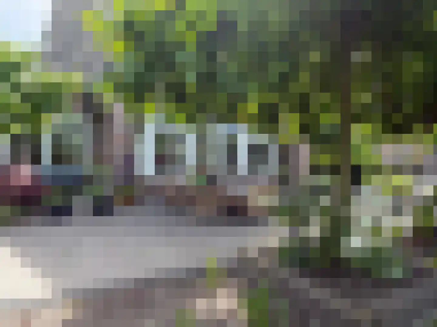 Vlonder 33 Dalerpeel thumbnail 22