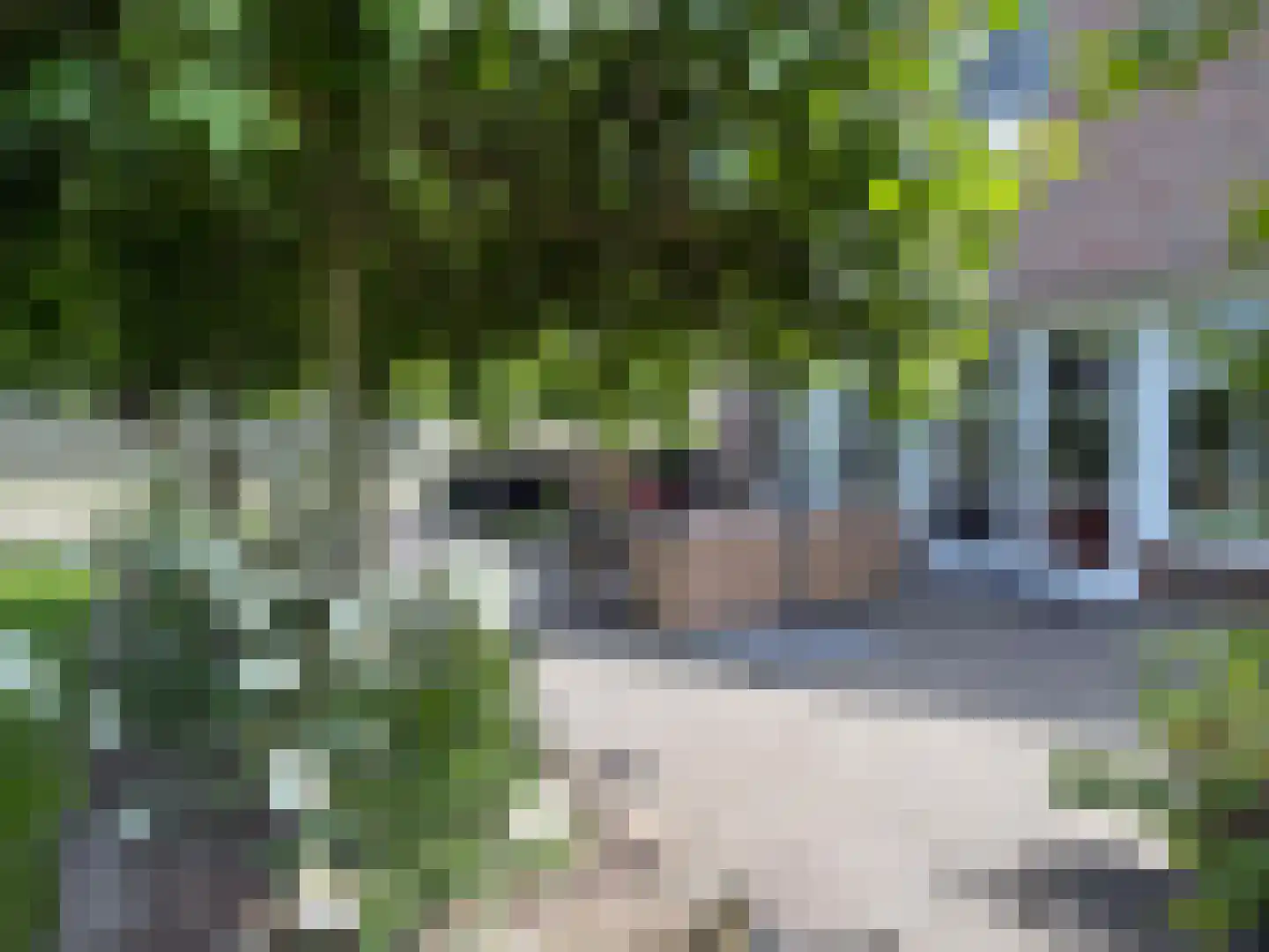 Vlonder 33 Dalerpeel thumbnail 23