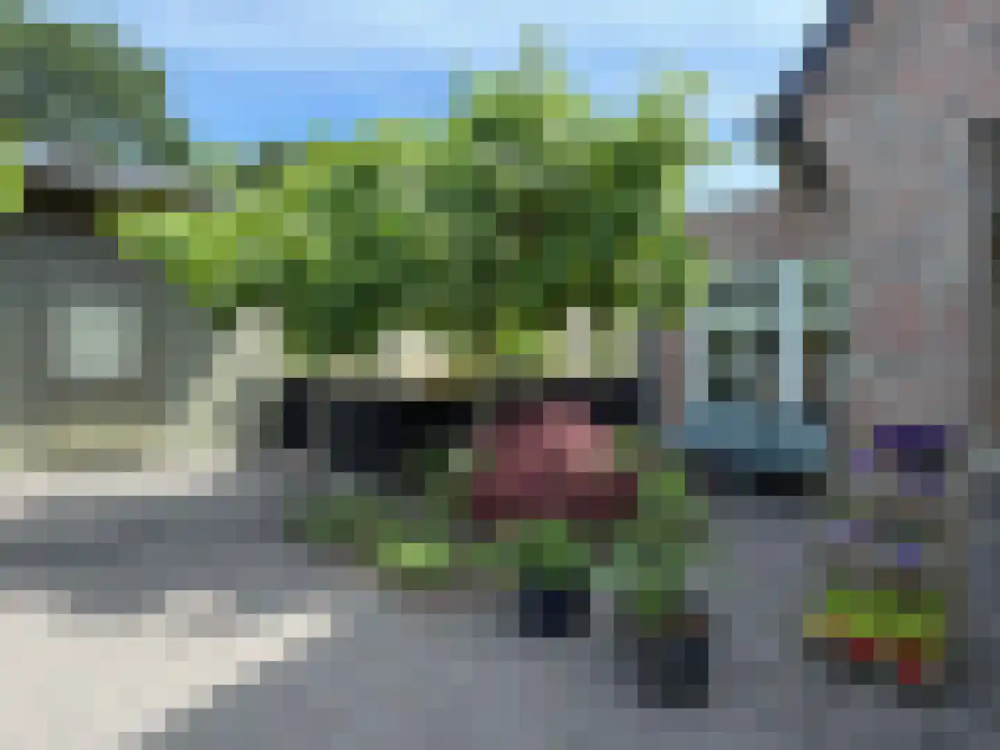 Vlonder 33 Dalerpeel thumbnail 24