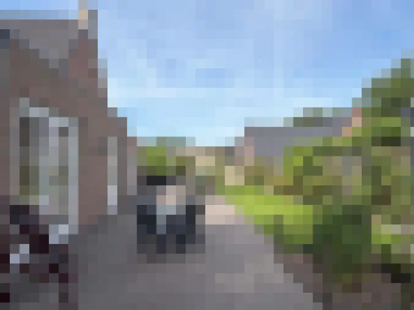 Vlonder 33 Dalerpeel thumbnail 26