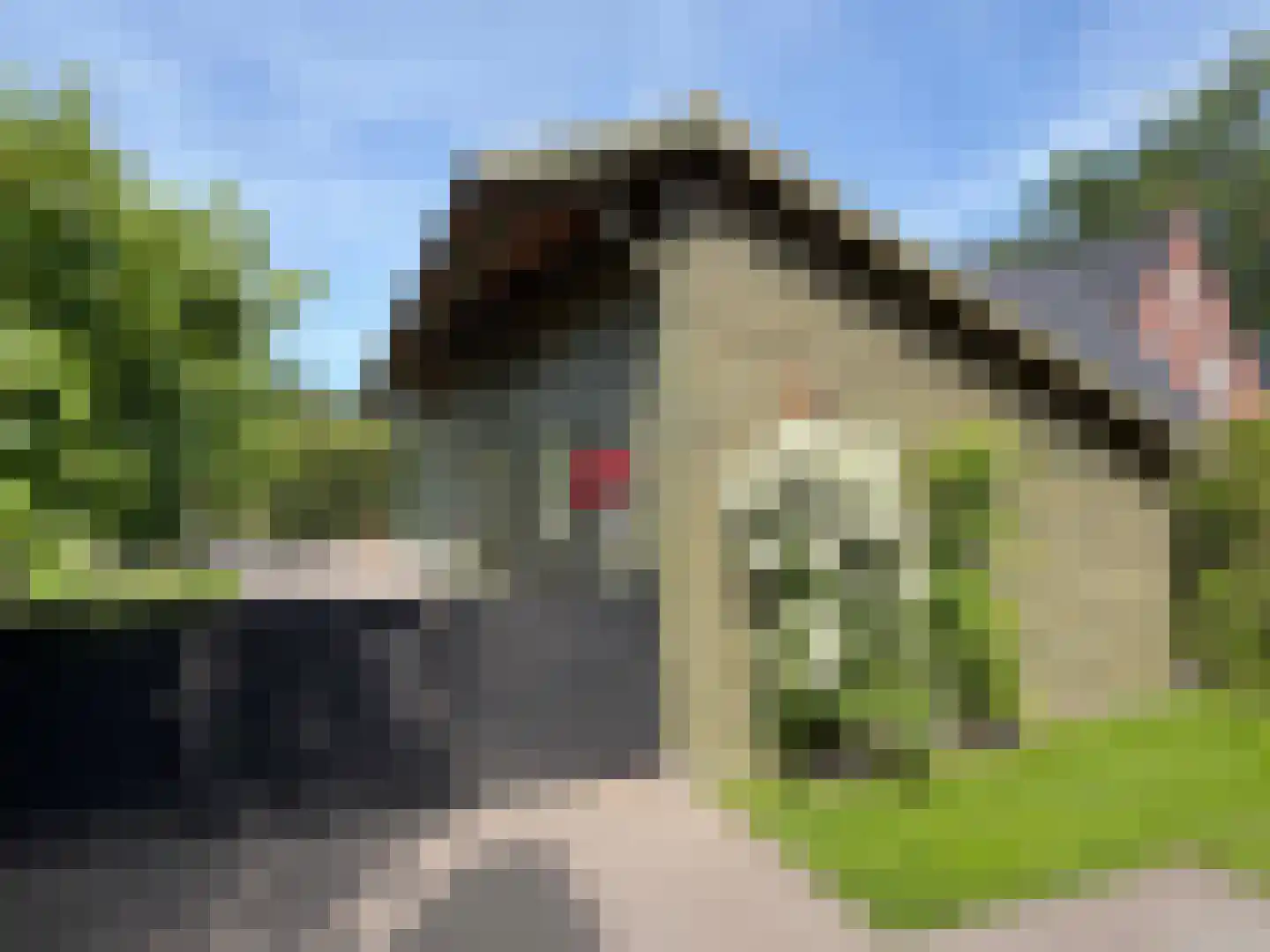 Vlonder 33 Dalerpeel thumbnail 30