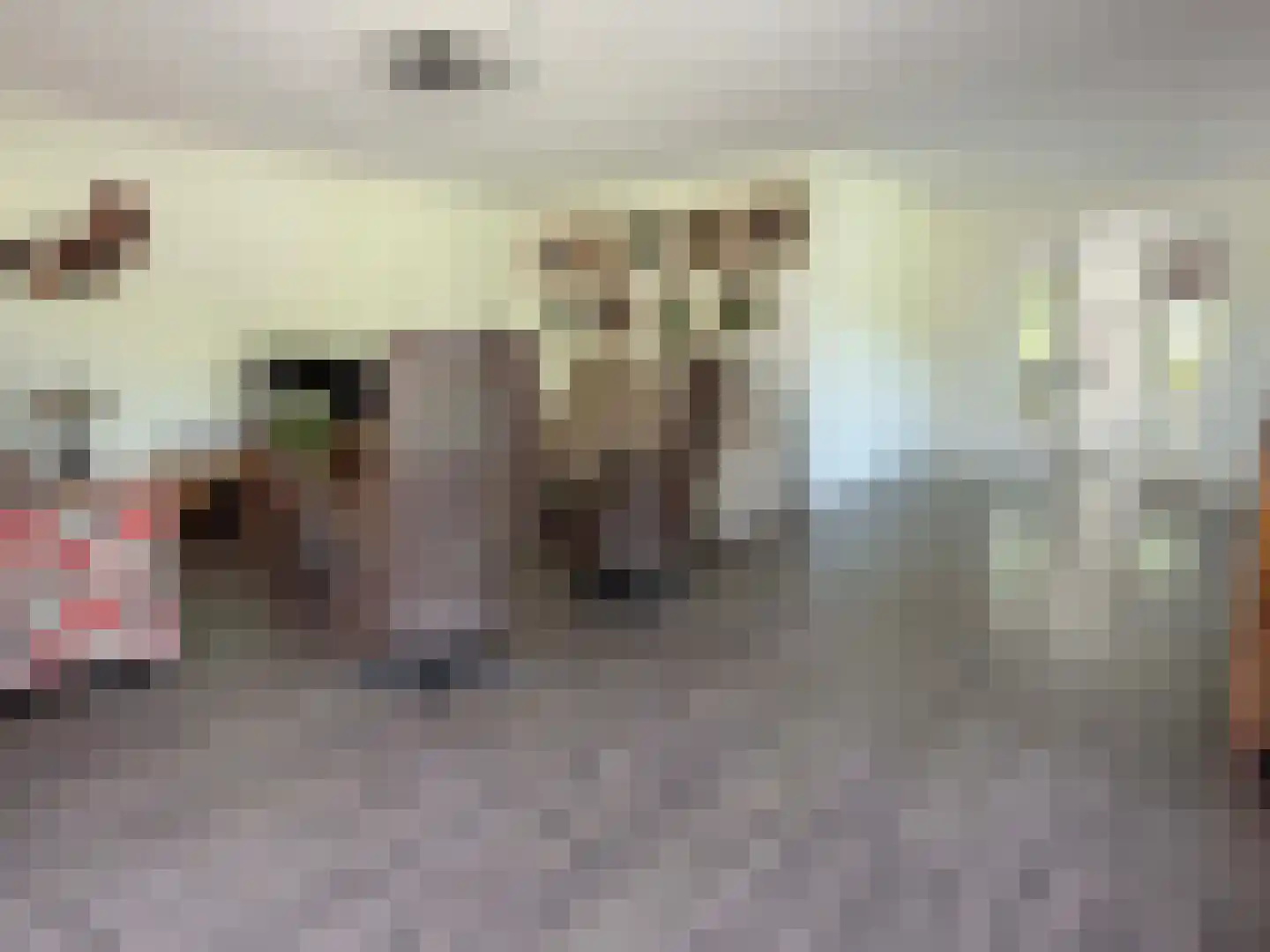 Vlonder 33 Dalerpeel thumbnail 32