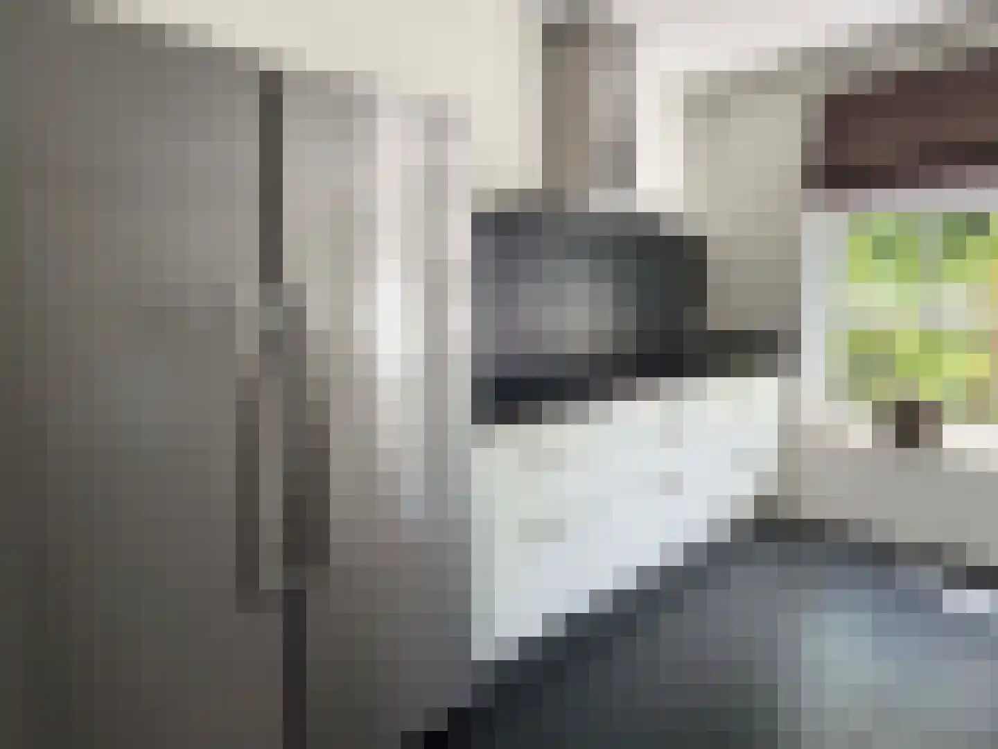 Vlonder 33 Dalerpeel thumbnail 36